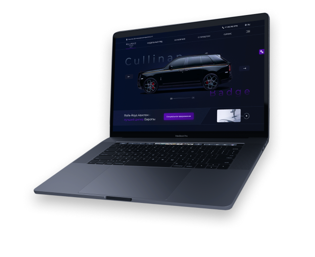 Портфолио