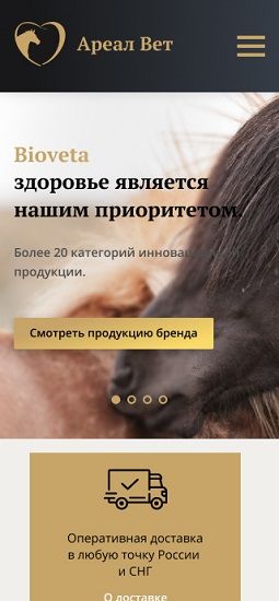 Веб-студия IT System